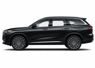 Tiggo 9